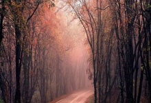 章丘双语学校:以排球为媒 构建“五育融合”育人新高地.