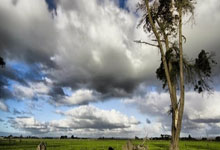 英超-福登双响德布劳内建功 曼城4-0大胜布赖顿.