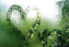 江南体育:北美双赛,郑钦文期待找回状态环球时报.